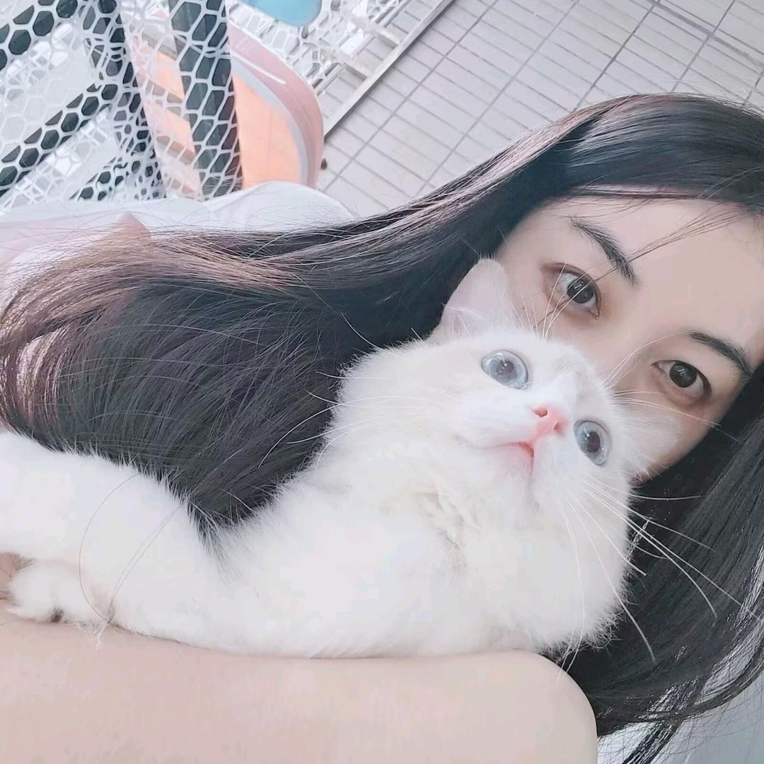 木木睡不醒