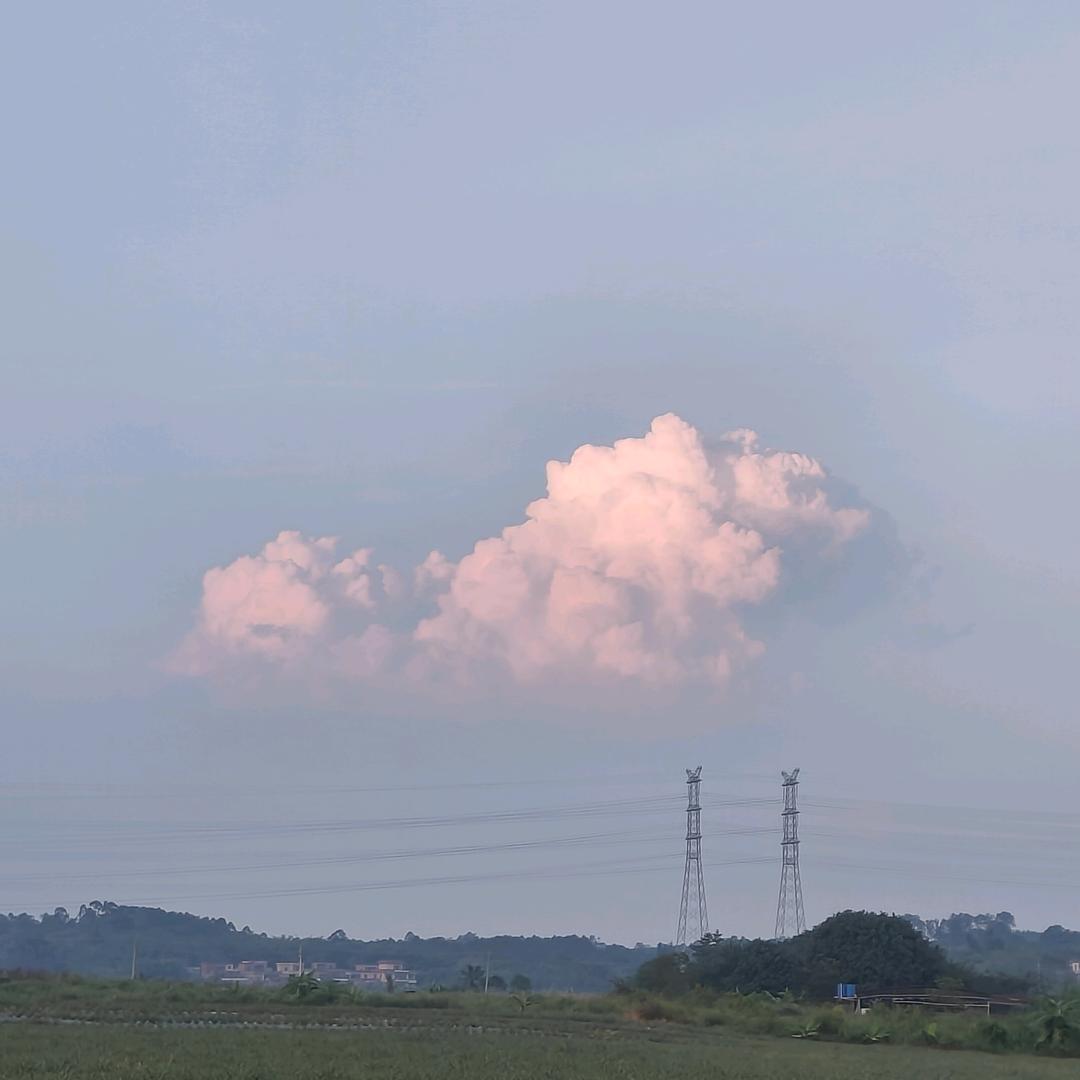 小小牛