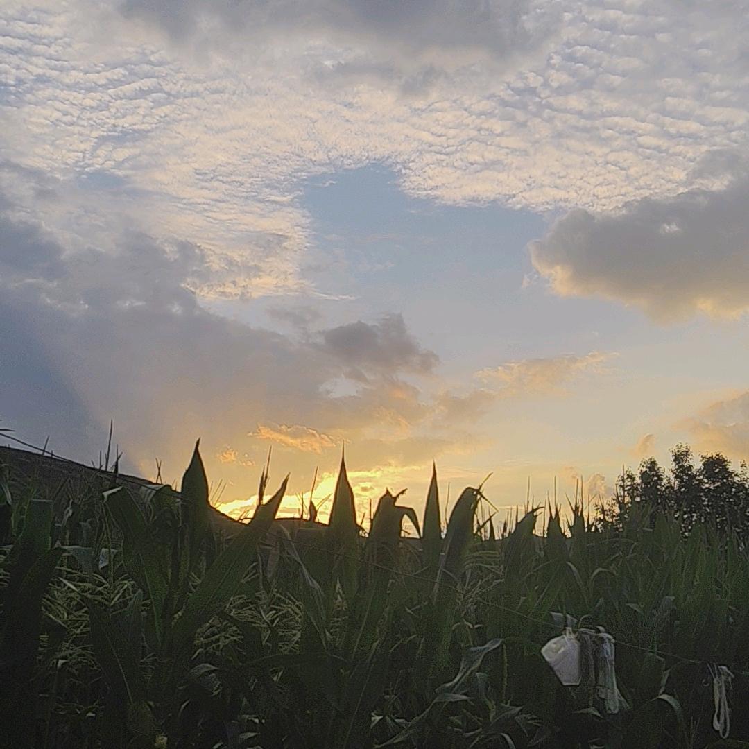 西北农村淘气泡泡