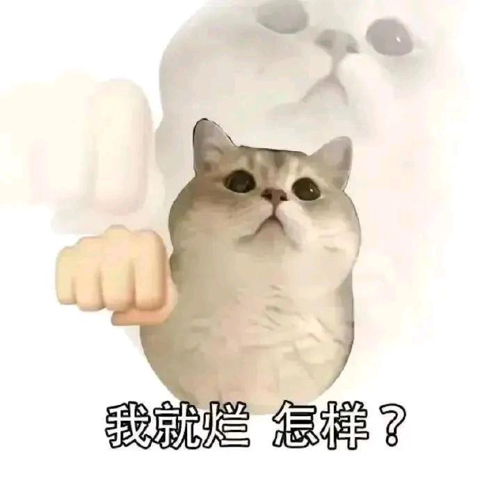 会发财的芋泥卷