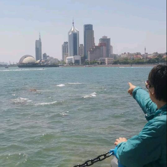 鱼跃小确信