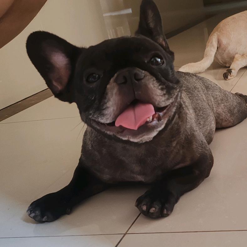 大（陈）工作室  --海陵