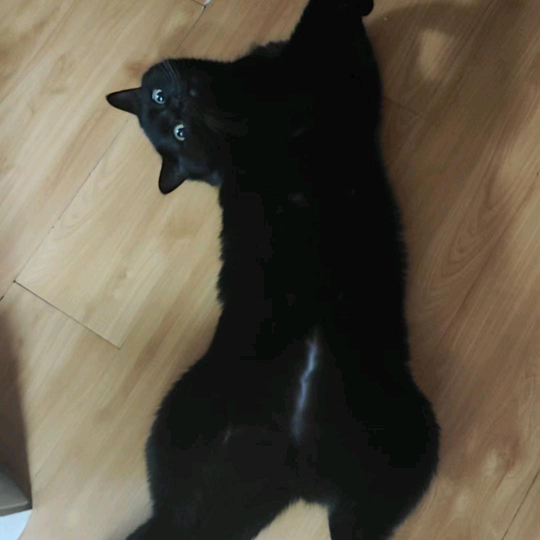 不在