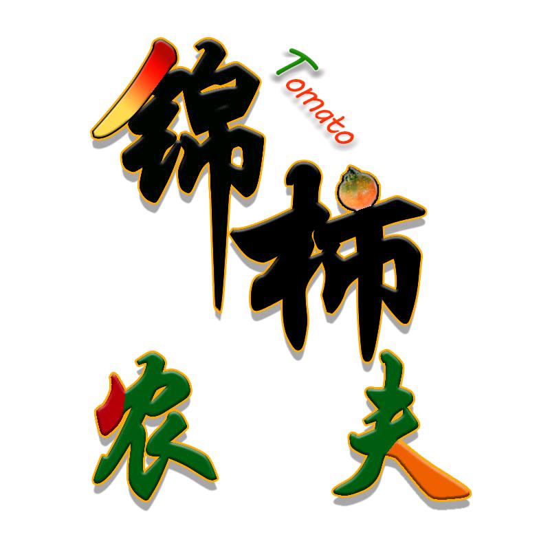 锦柿农夫碱地柿子