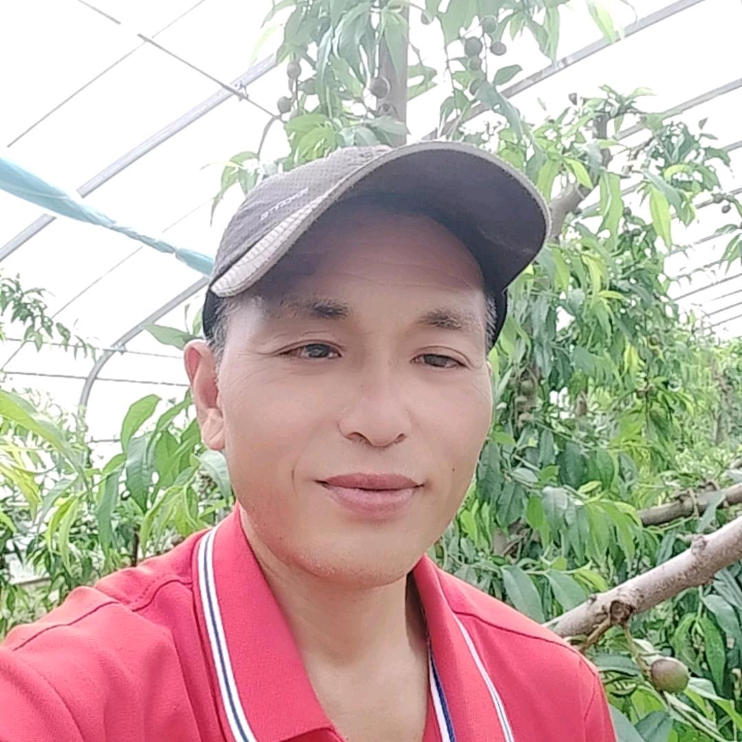 毛线哥（20点50分）开播号在主页