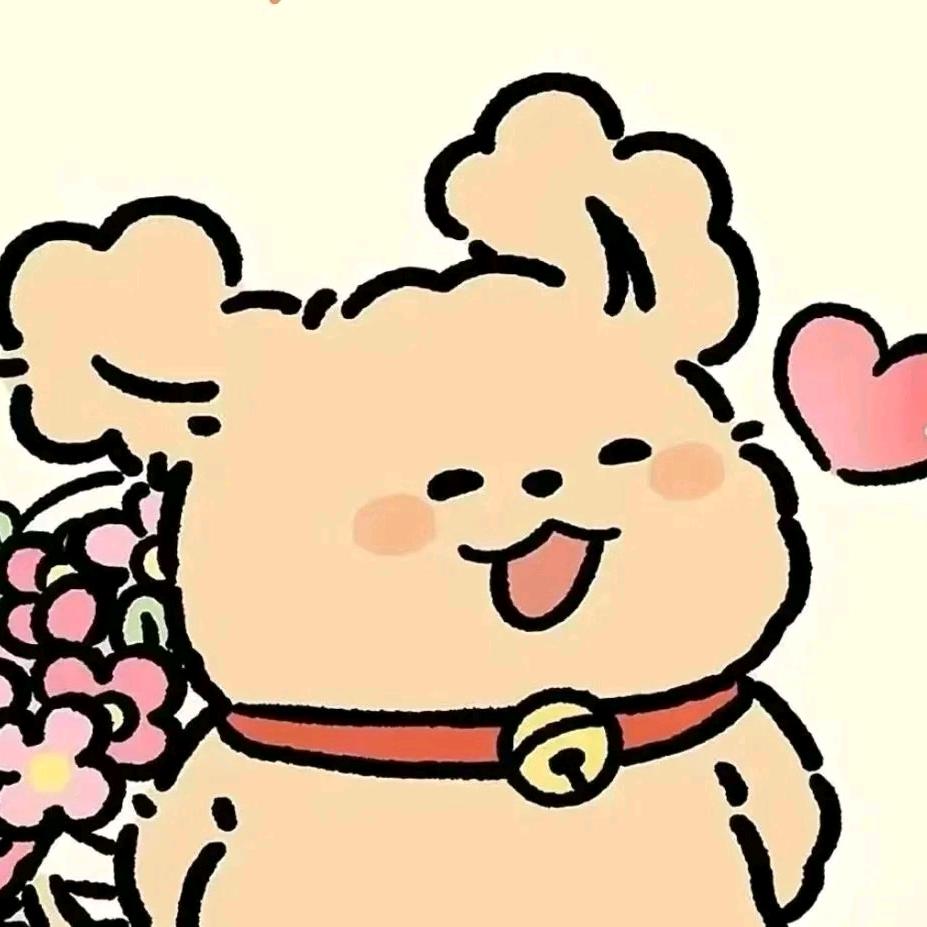 小米爱拍摄