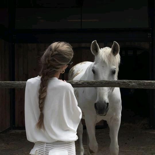 一哈.
