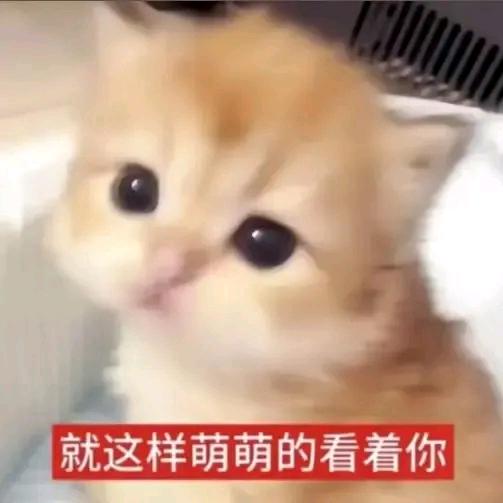 荏清
