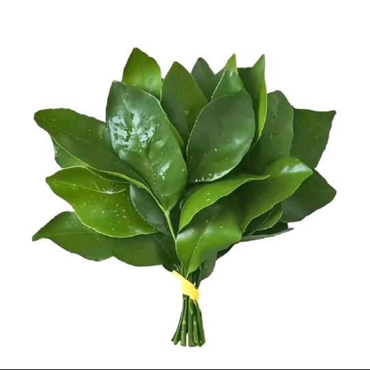 慵懒