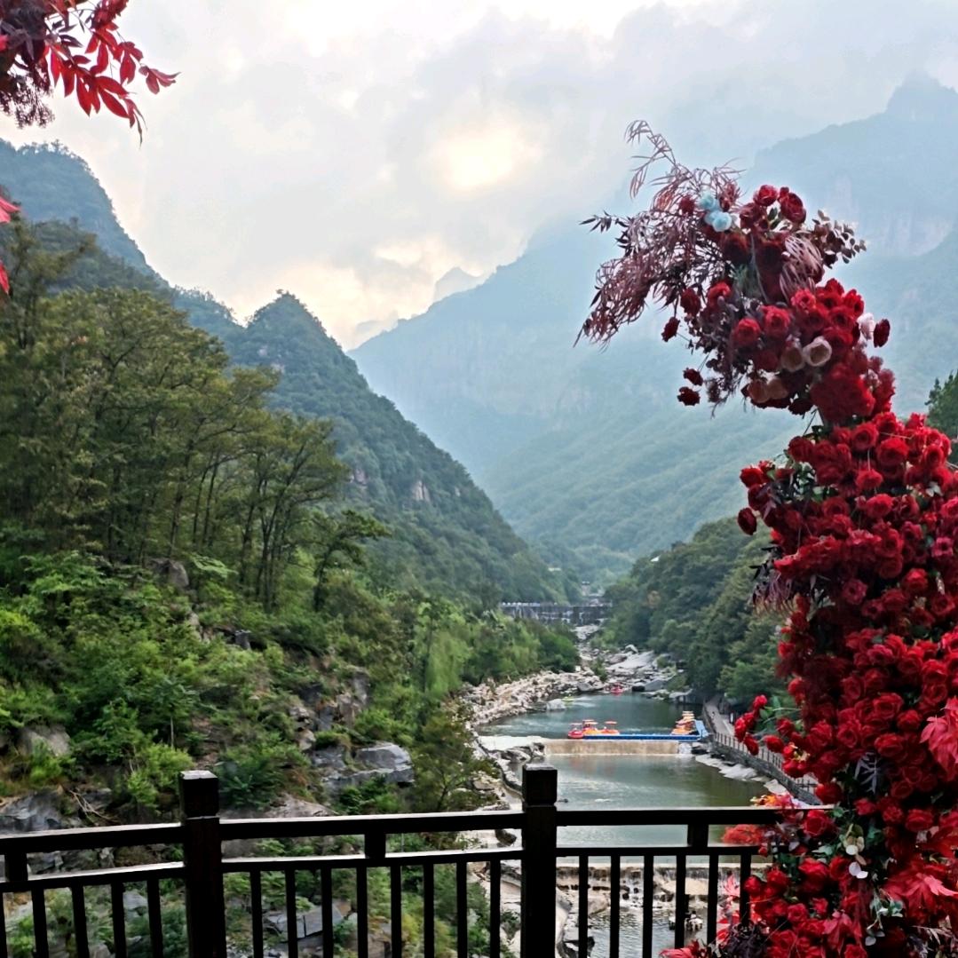 乐乐*”