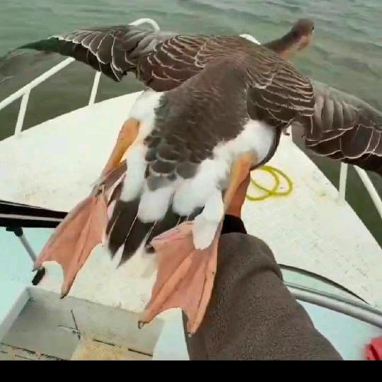 运利财喜欢听DJ