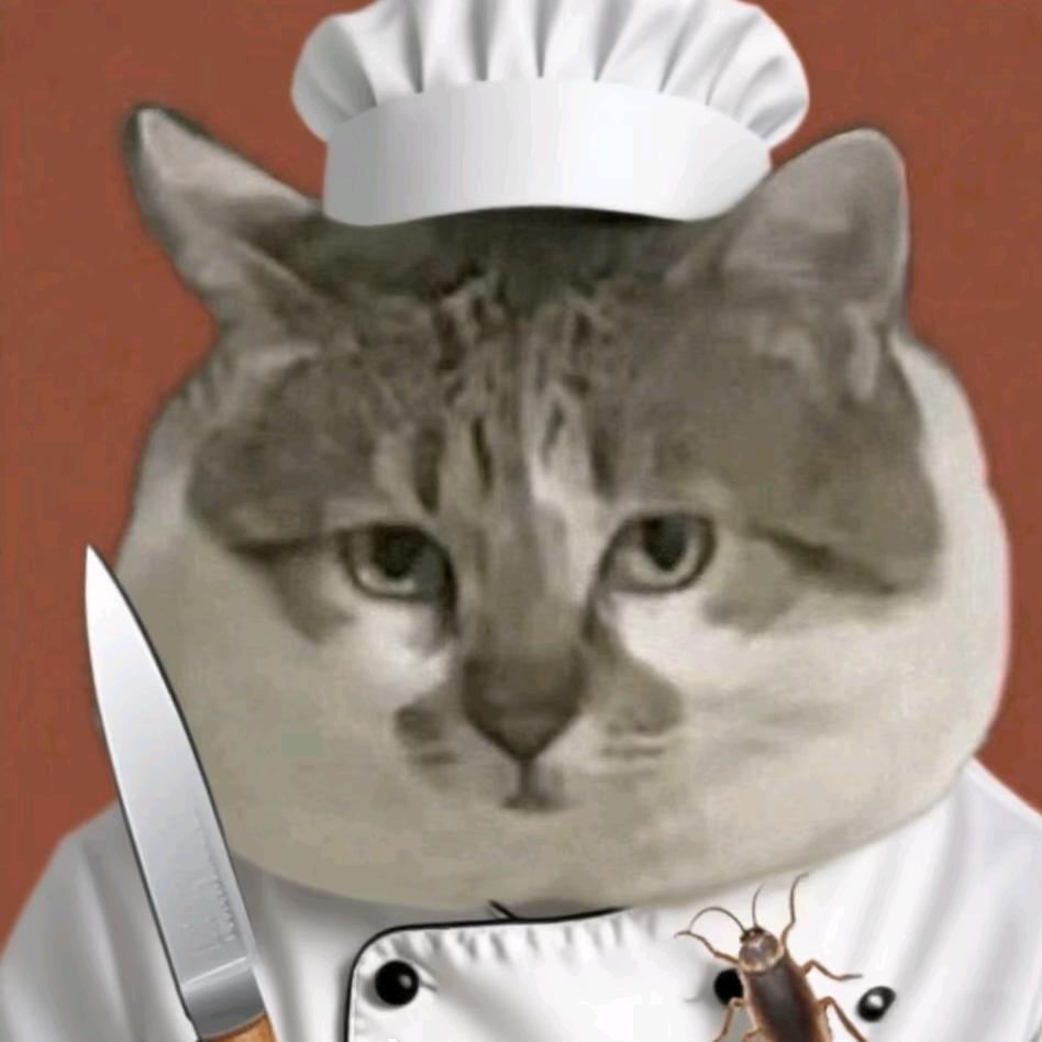 猫猫⁺