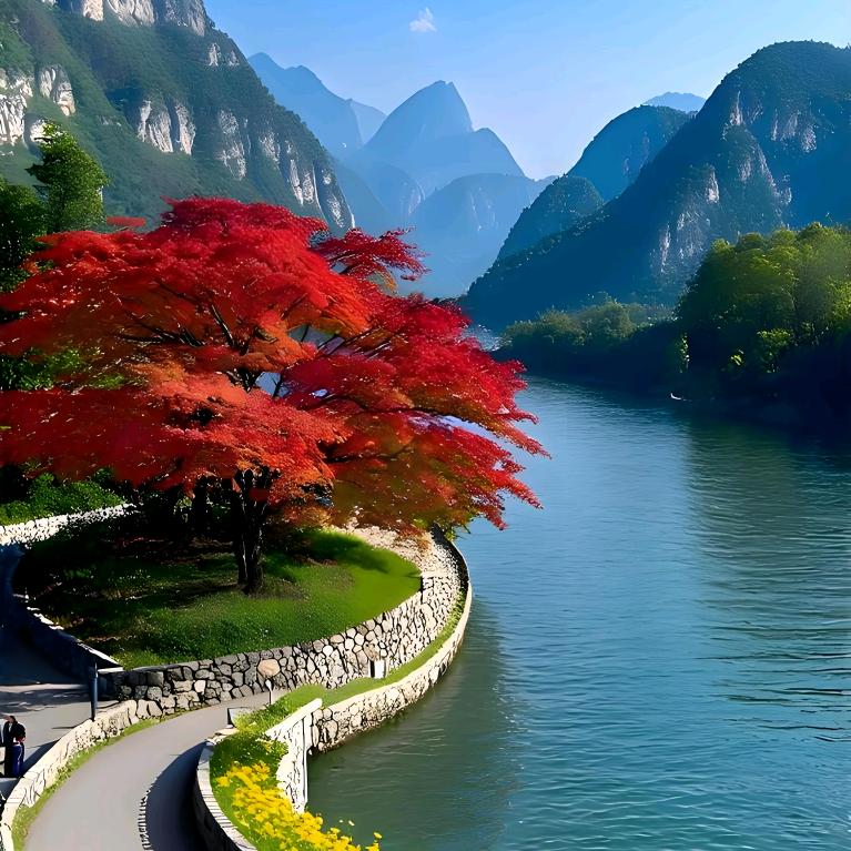 心若芷兰