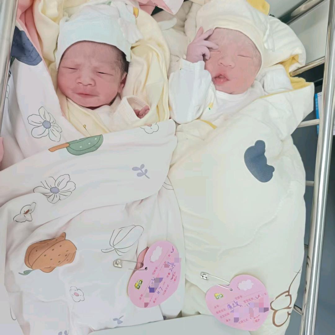 宅家（睡醒吃吃饱睡的生活）