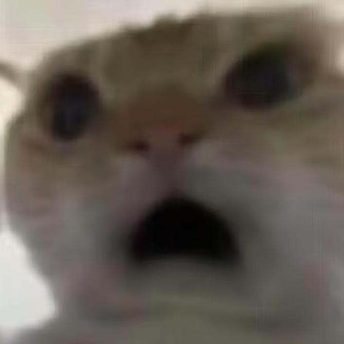 呆呆