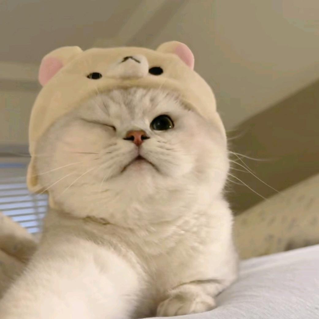 蛋黄烤翅