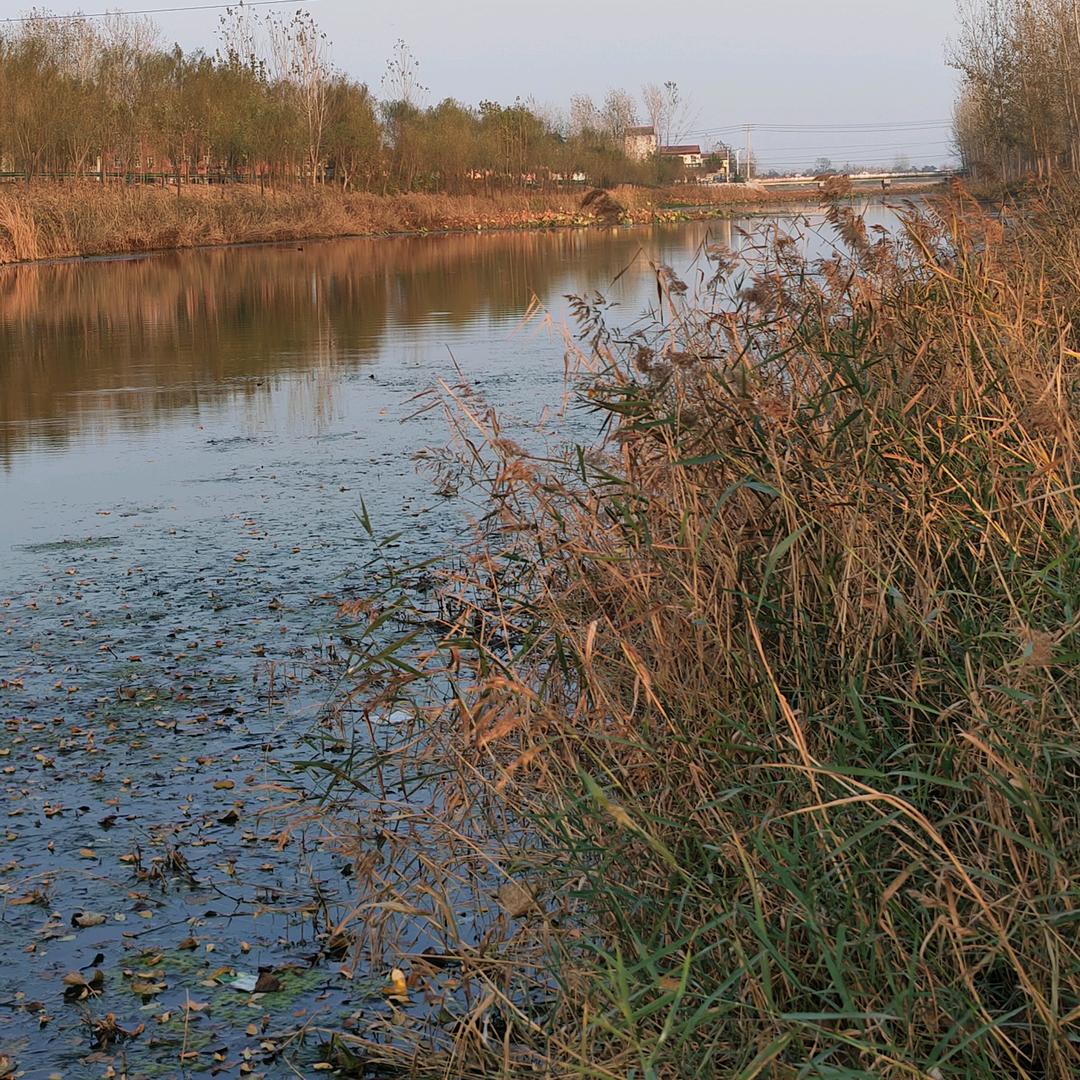 远
