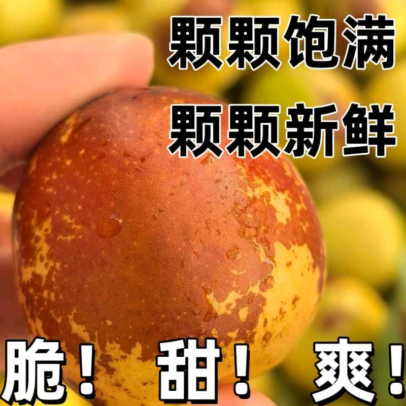 大荔冬枣直发