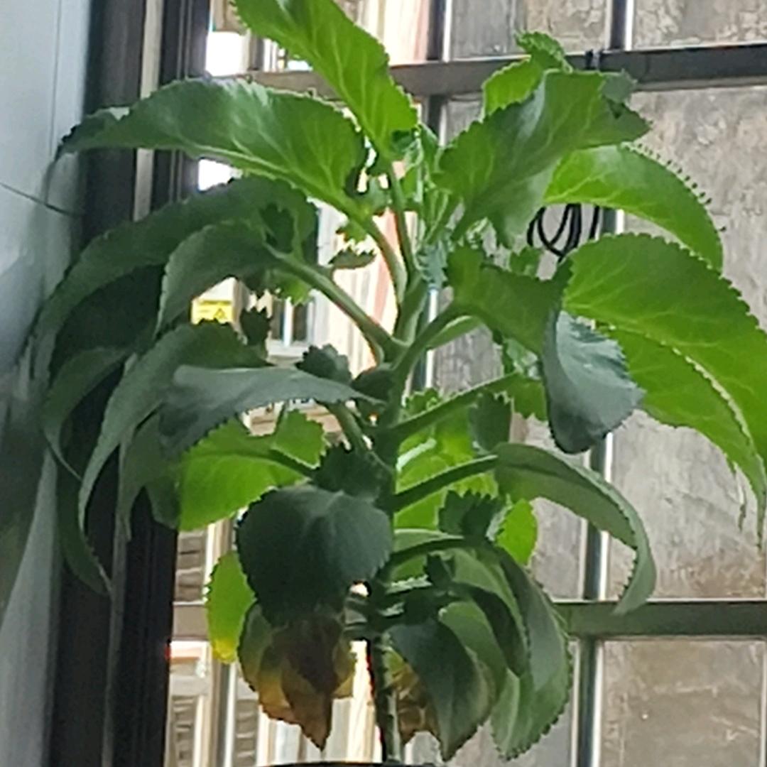 ꧁💞꧔宠你᭄ᩚ꯭ᩚ💞᭄᪲ᩚ꯭ᩚ一世꧂