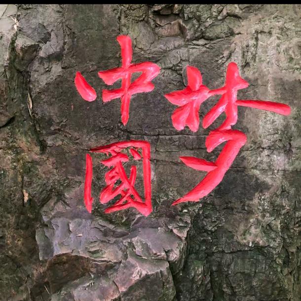 名伟