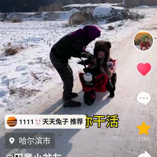 1111🐰天天兔子