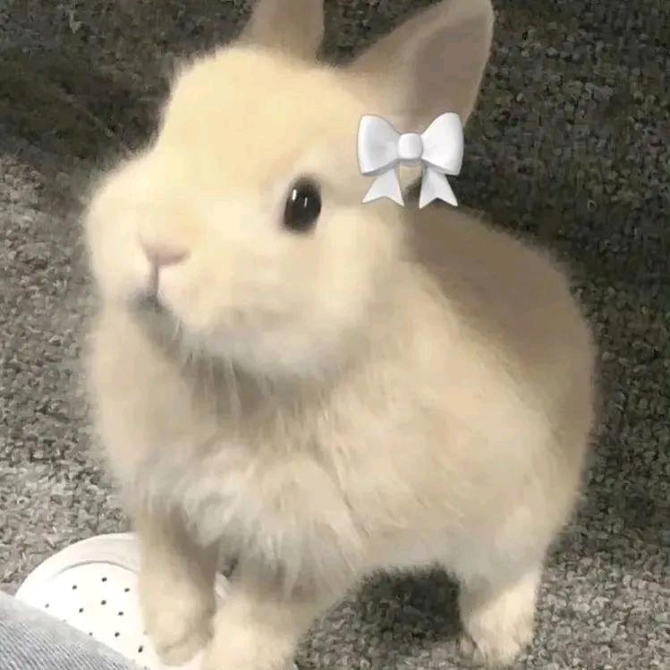 nini