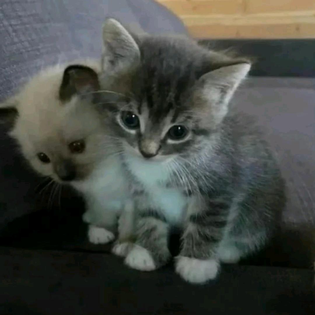 🧊