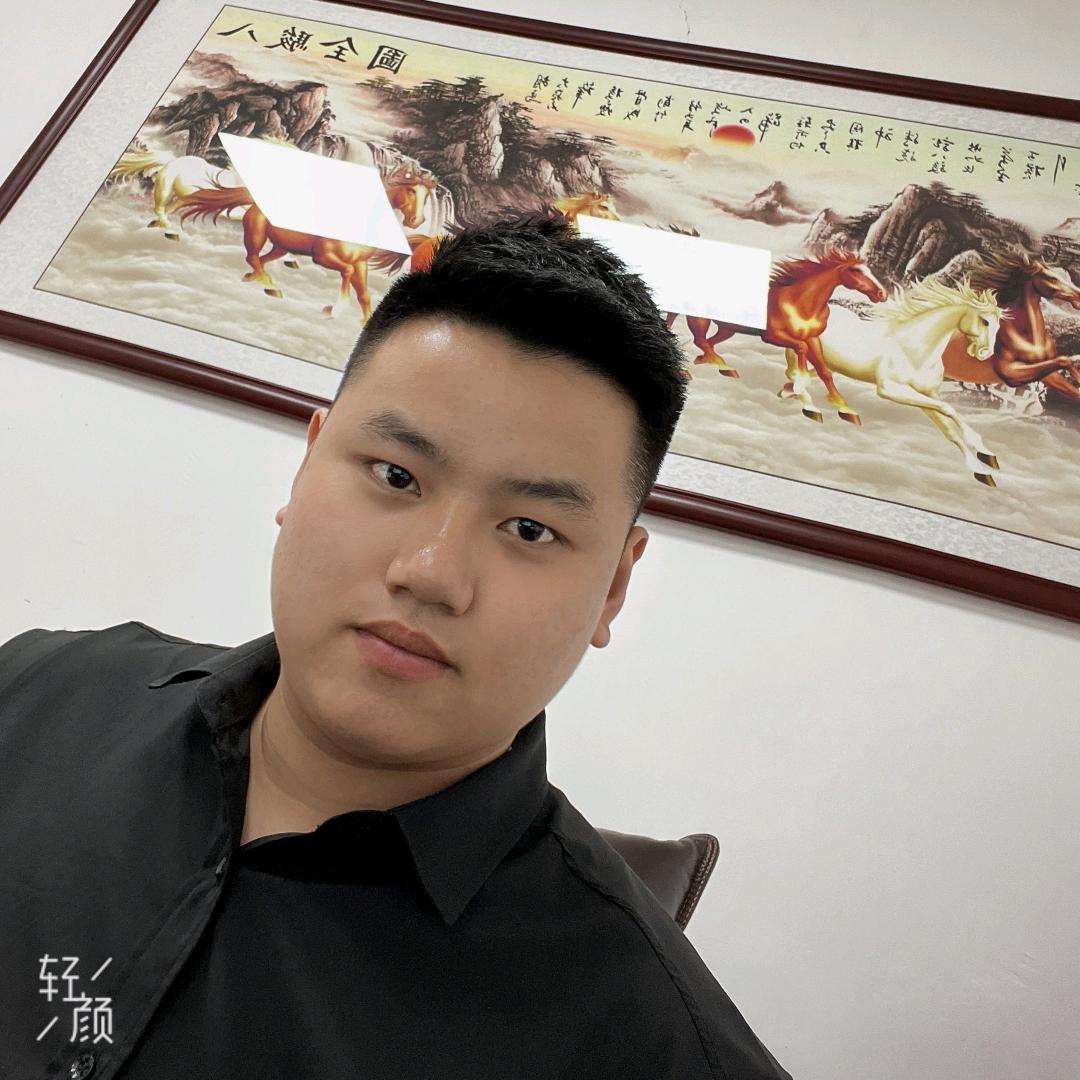 小胖同学新能源汽车