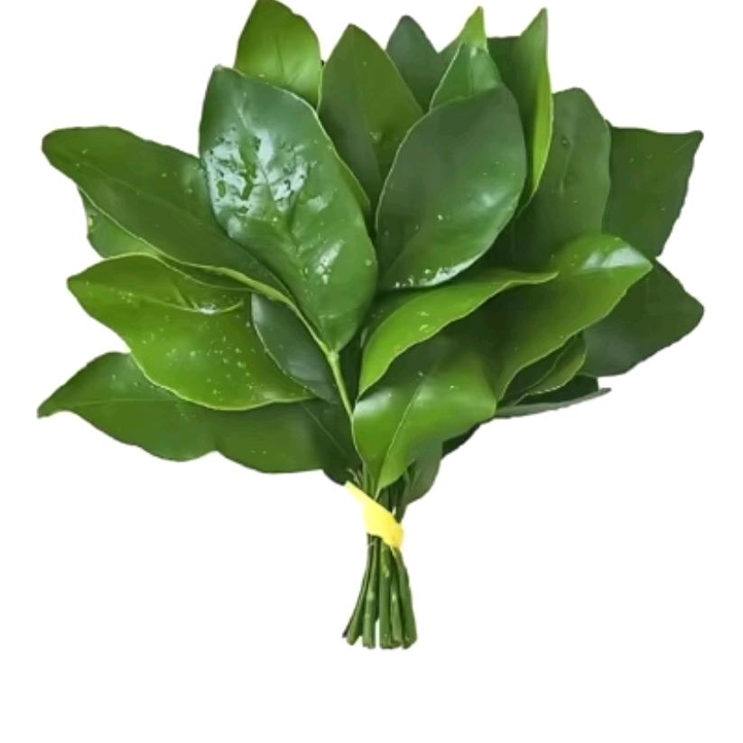 槿畔