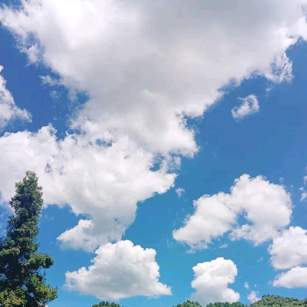 随心