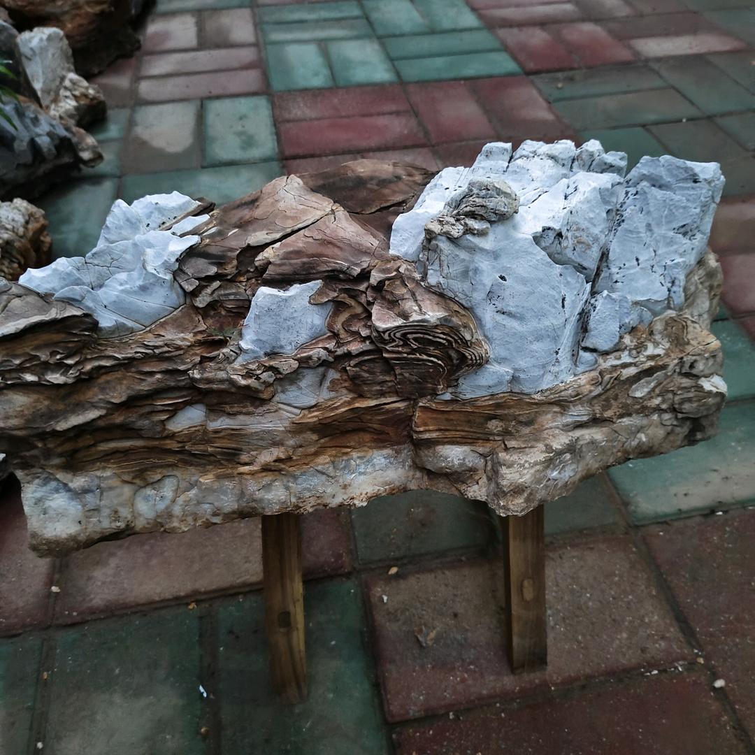 ♥(｡￫v￩｡)♥超爱生活