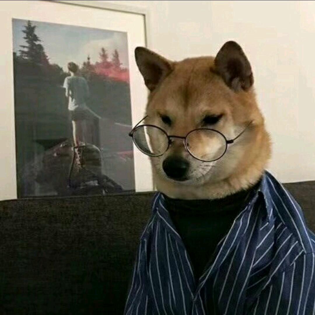 胡不归