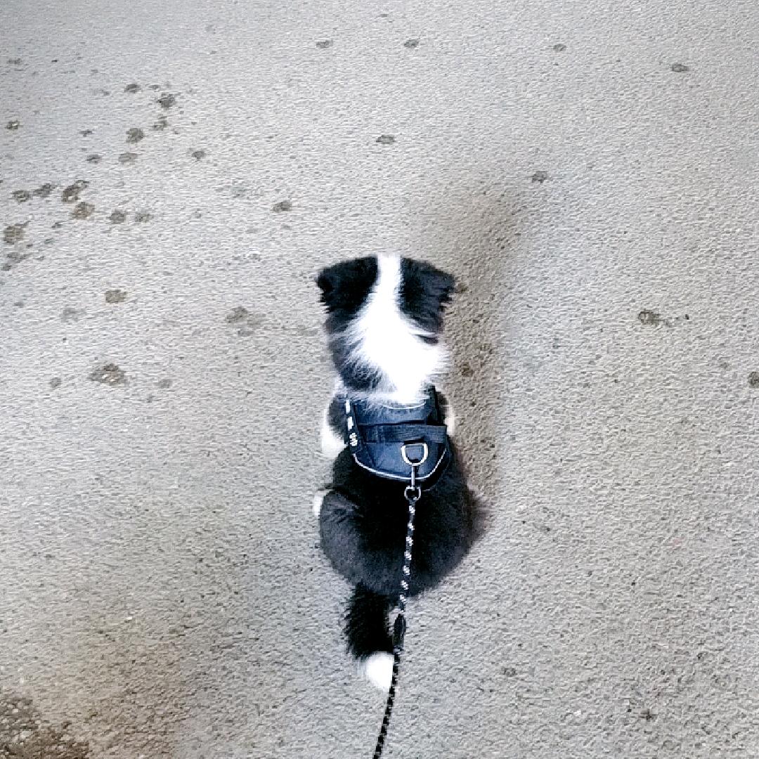 😶‍🌫️😶‍🌫️😶‍🌫️