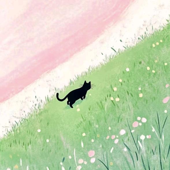 不吃番茄的Tomato