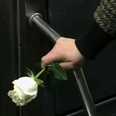 修理地球的蚂蚁