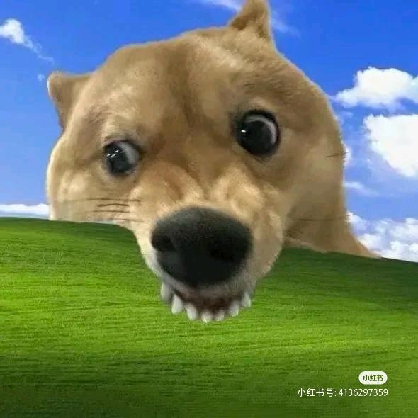 太阳照常升起