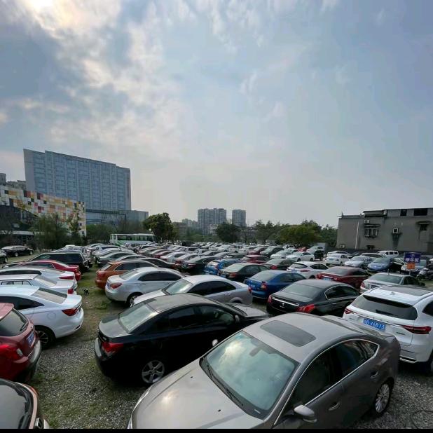 Z舅子平价车(成都)