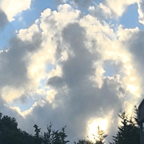 冰哥♥(●'◡'●)♥曳舞缘