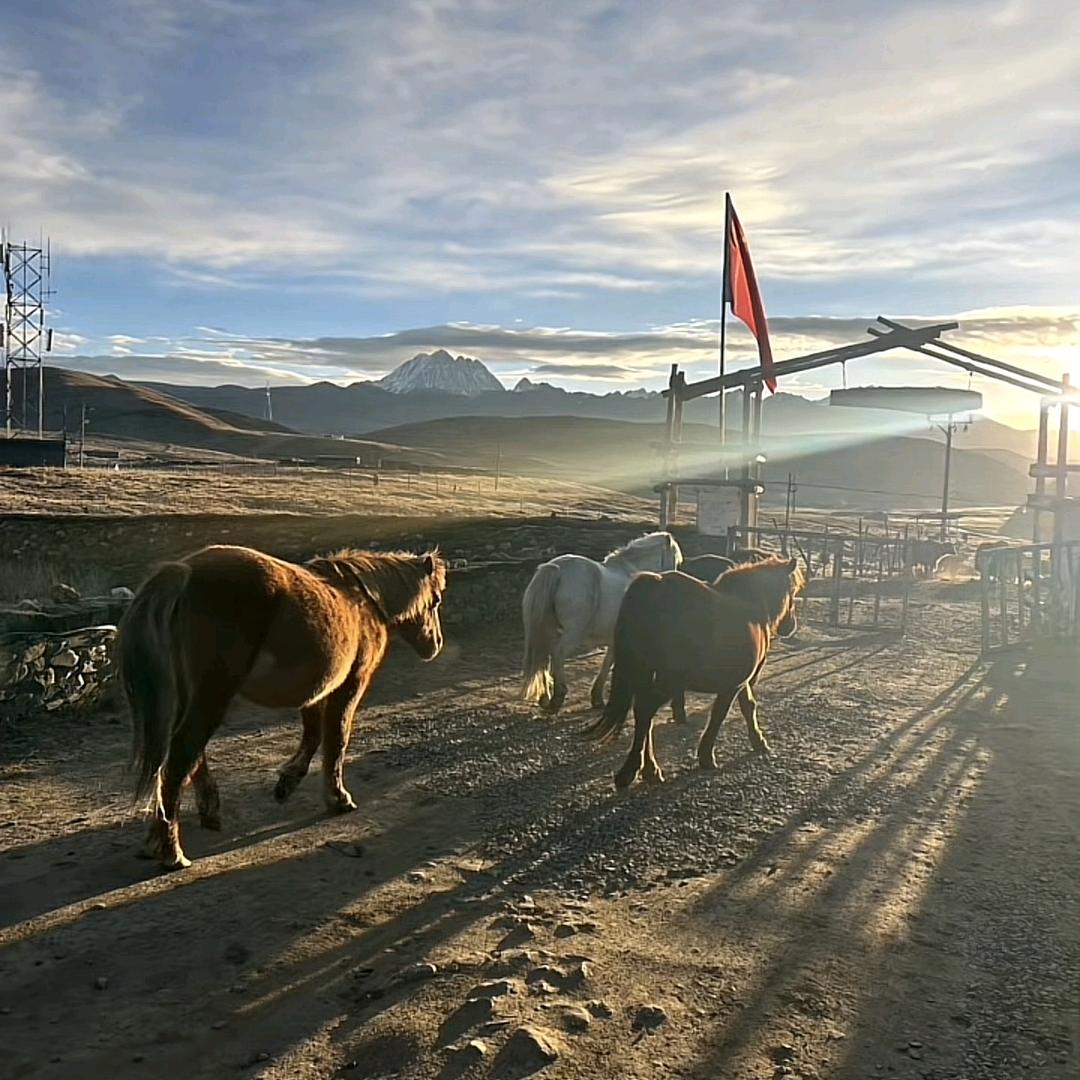 王科一