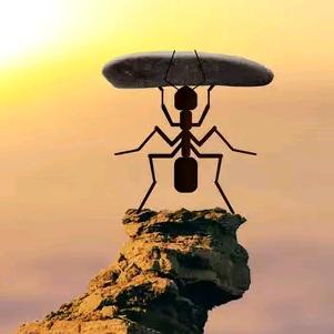 我的人生～@我做主🤷✈️