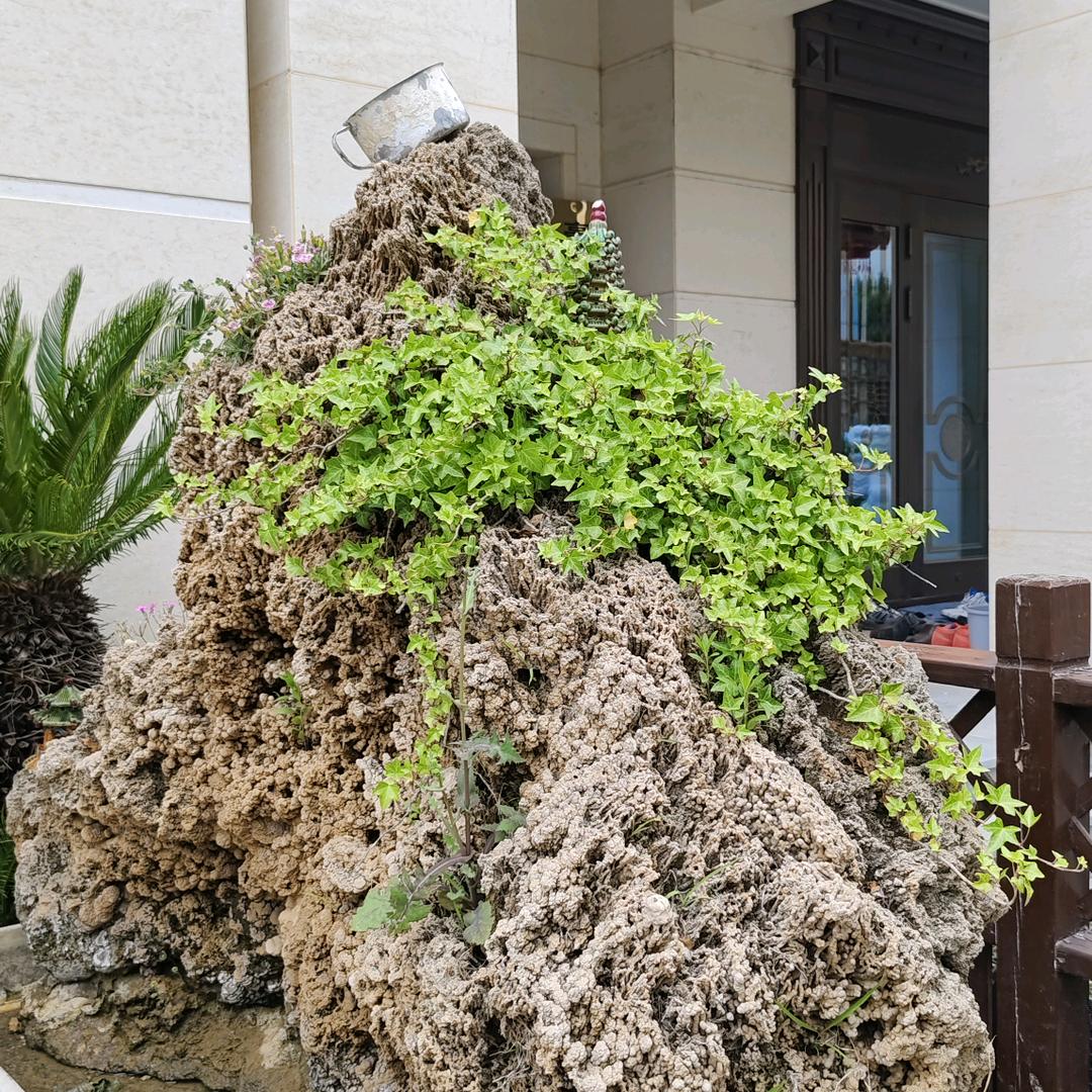 解甲归田，老田