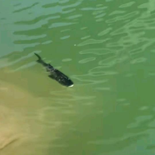 抖音上