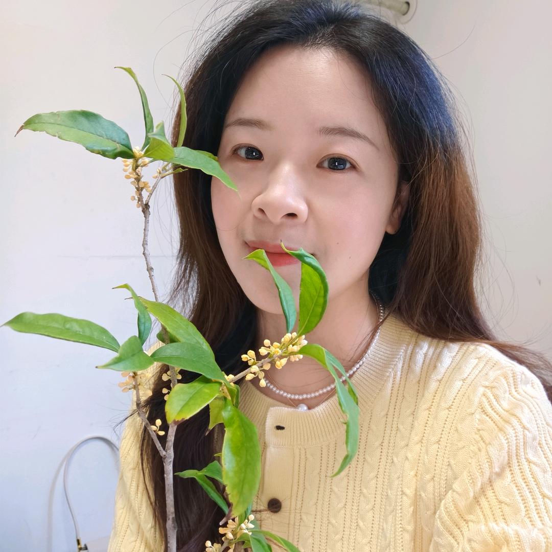 🍀云卷云舒🌿