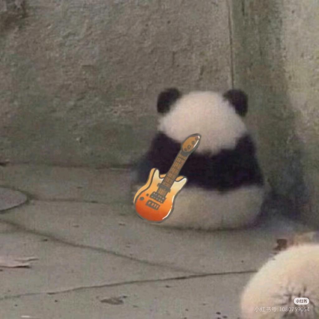 章鱼小丸子（短剧更新中）