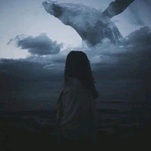 京城二韩说⚽️