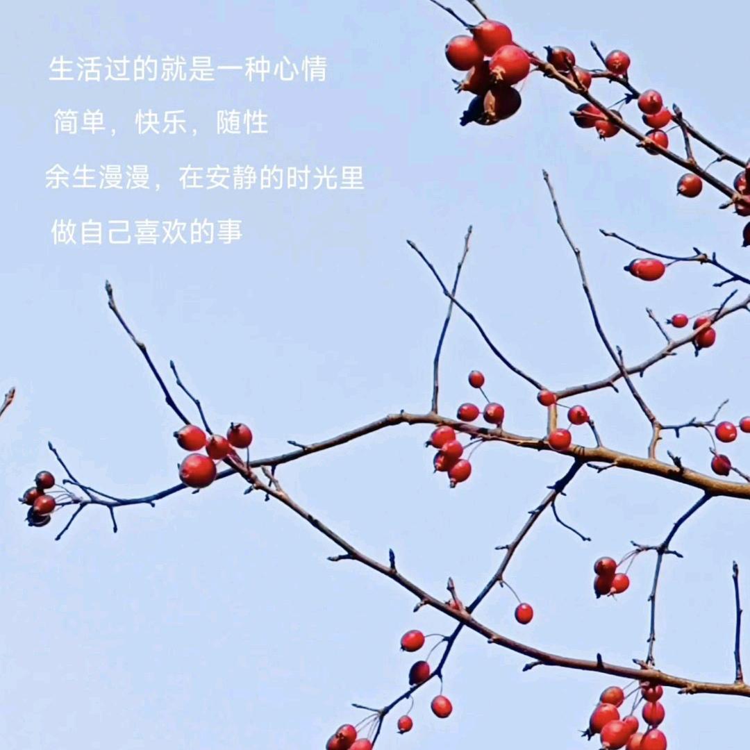 清风明月
