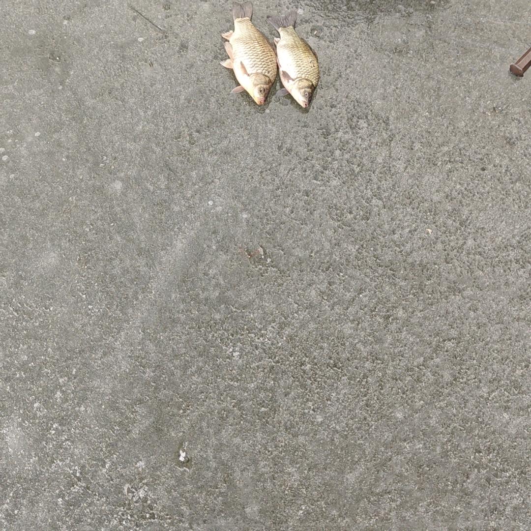 是是是