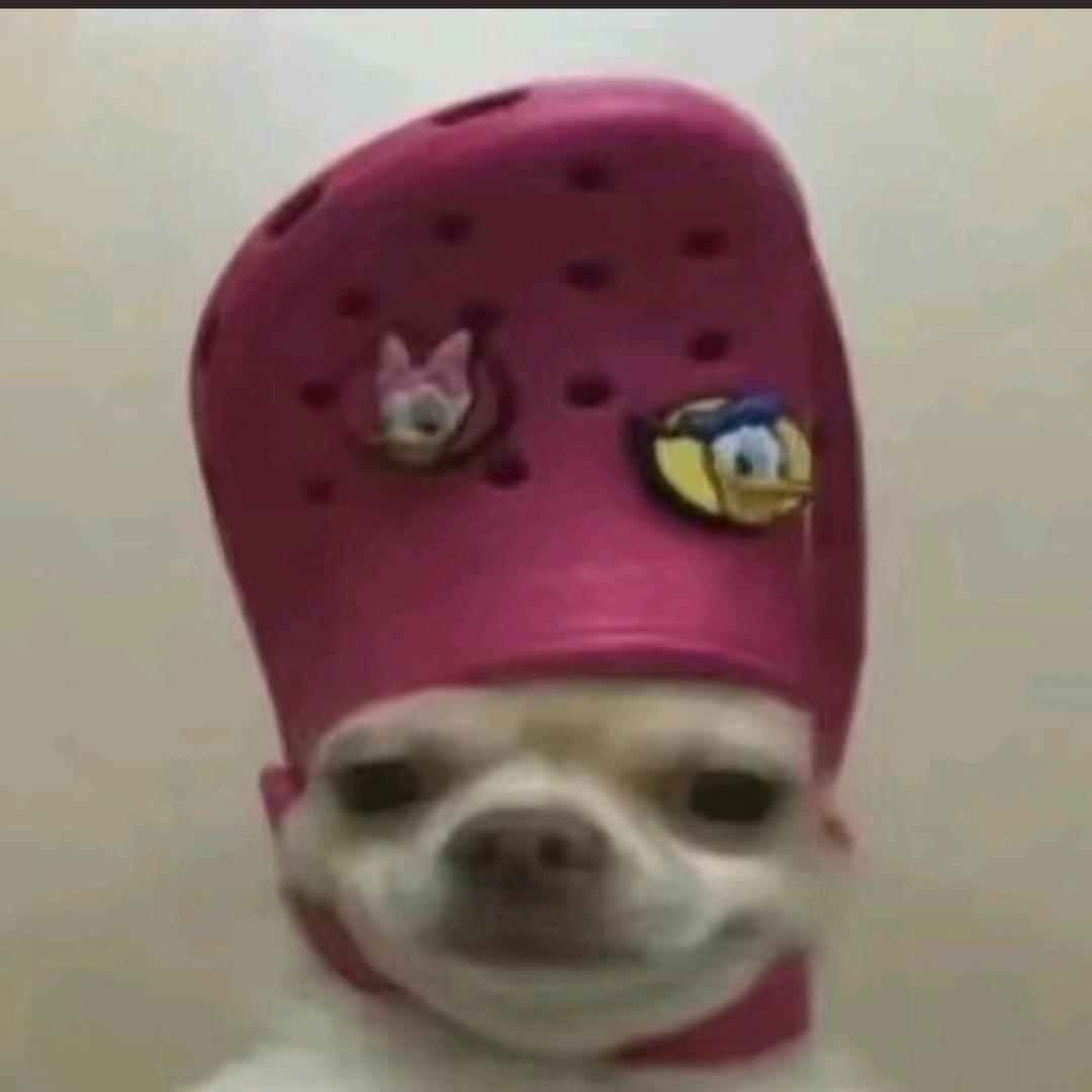 美味人机666