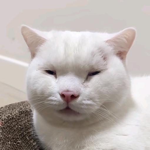 深情哥哥