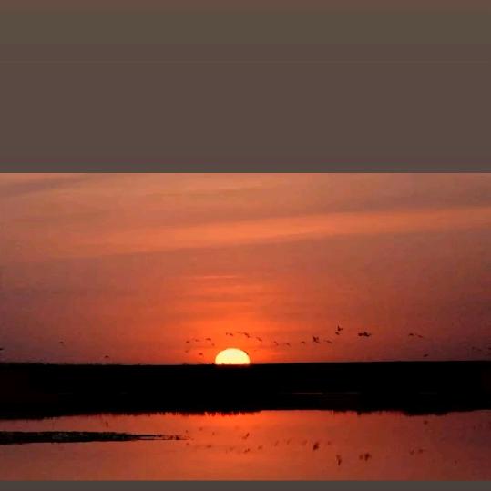 Kudirat